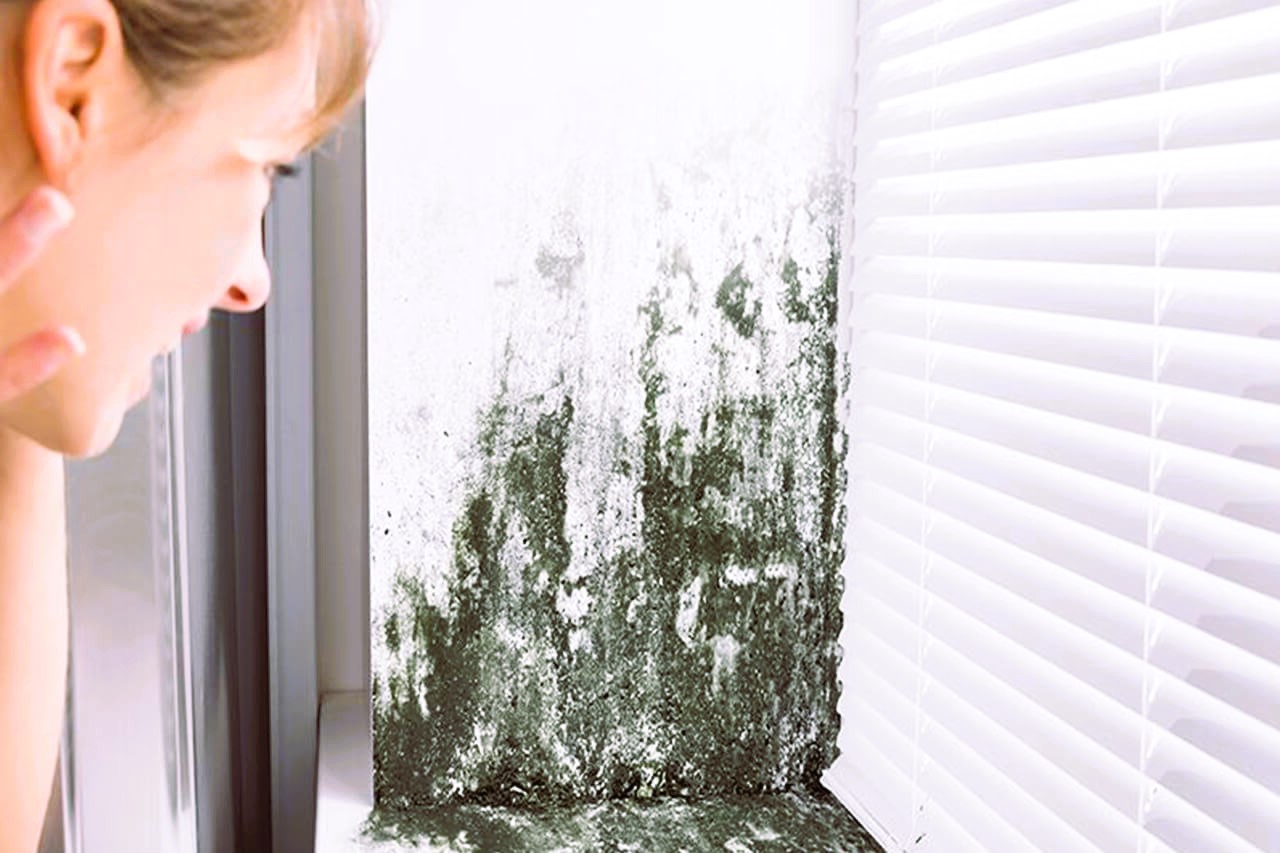 mold prevention tips