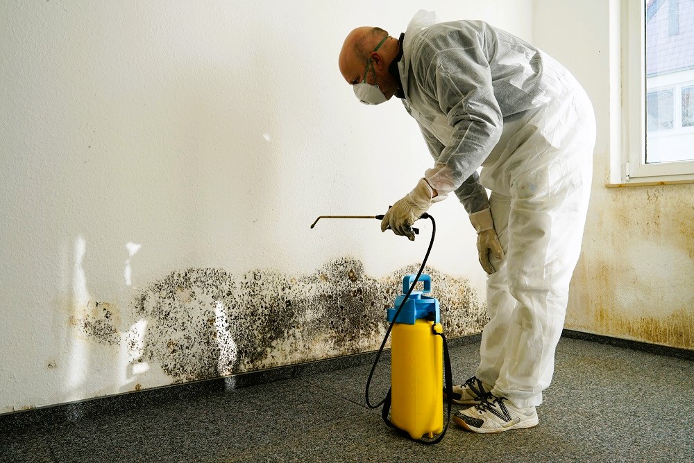 Mold removal